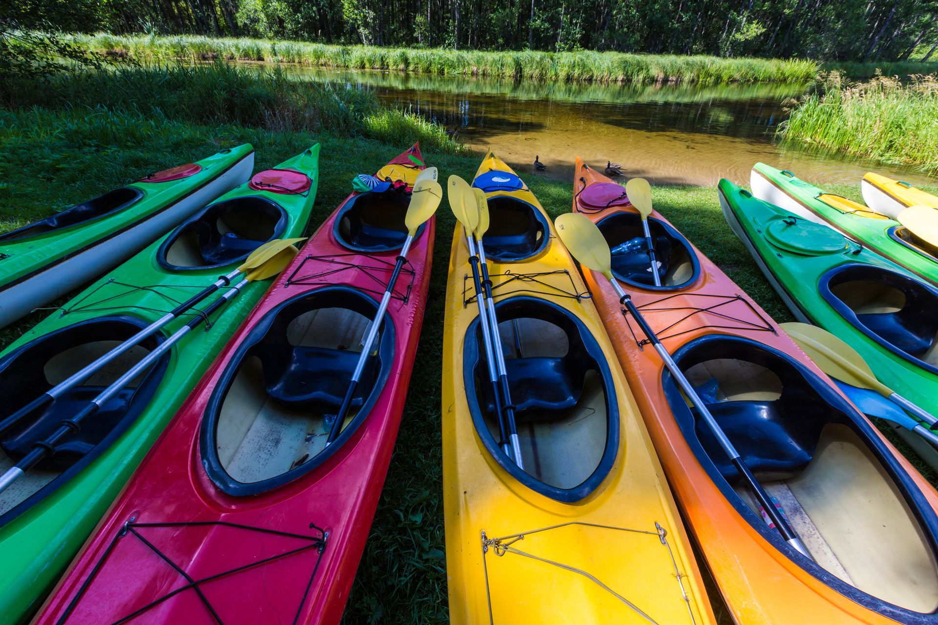 Colorful kayaks lined up on grassy bank next to water, paddles inside.