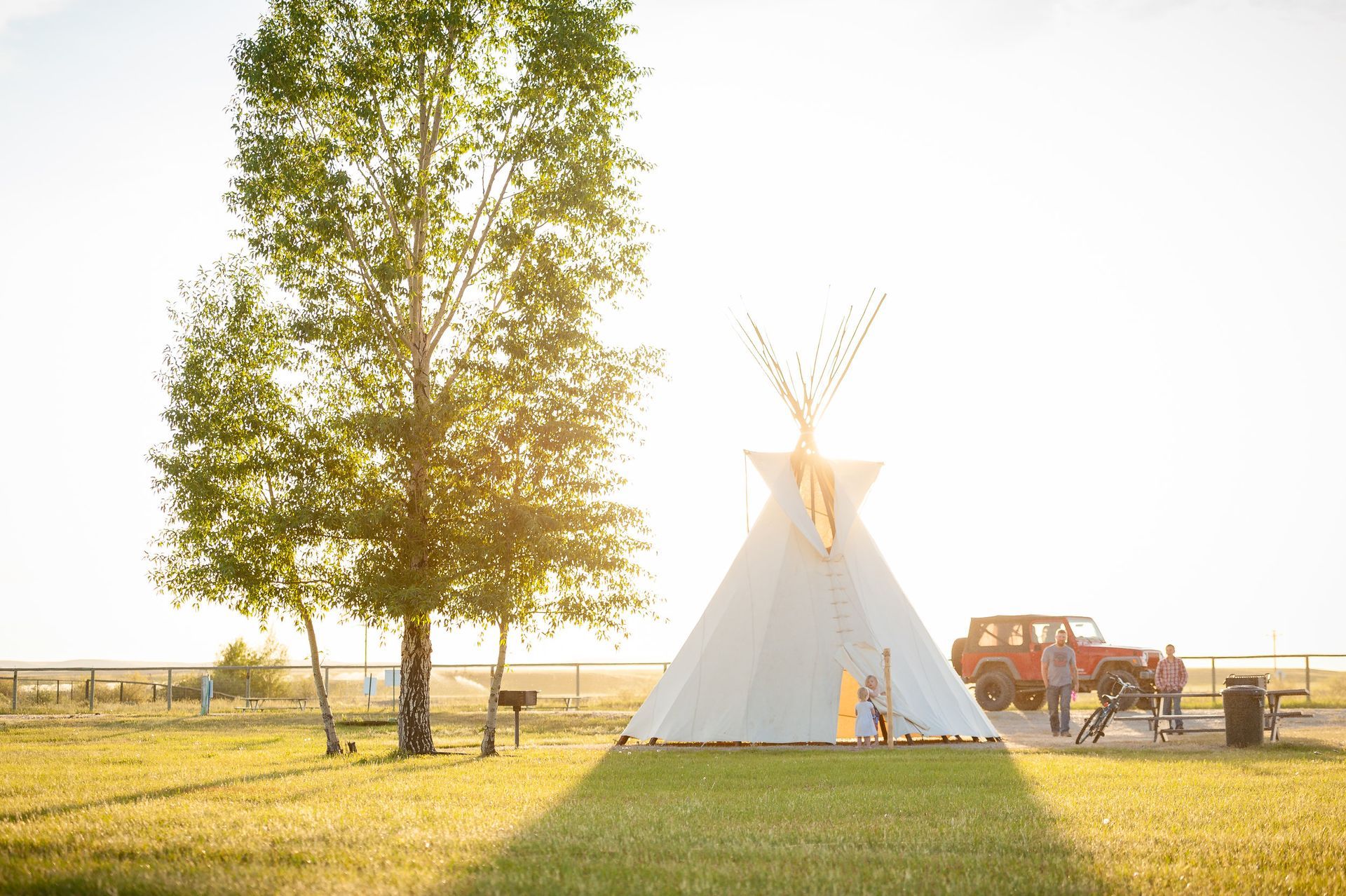 Teepee on a grassy field with a tall tree and red tractor in the background. Golden sunlight.