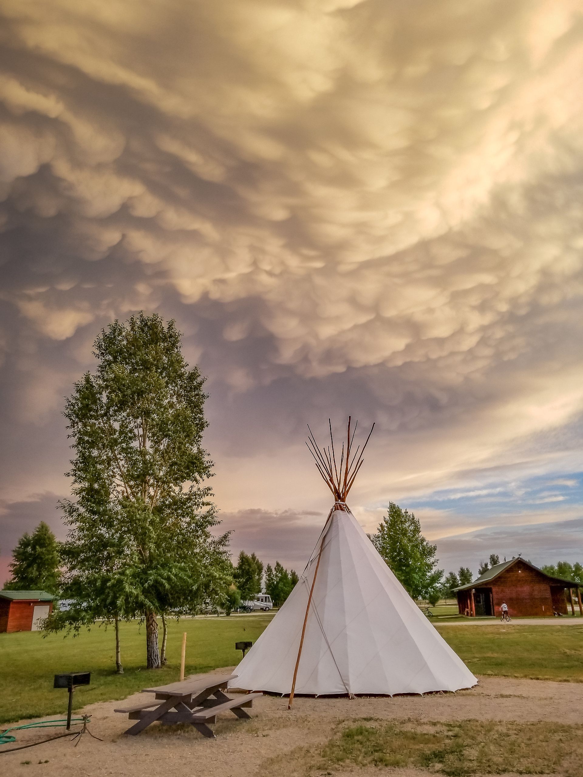 White teepee under a cloudy sky. A birch tree and picnic table in the foreground. Wooden buildings in the distance.
