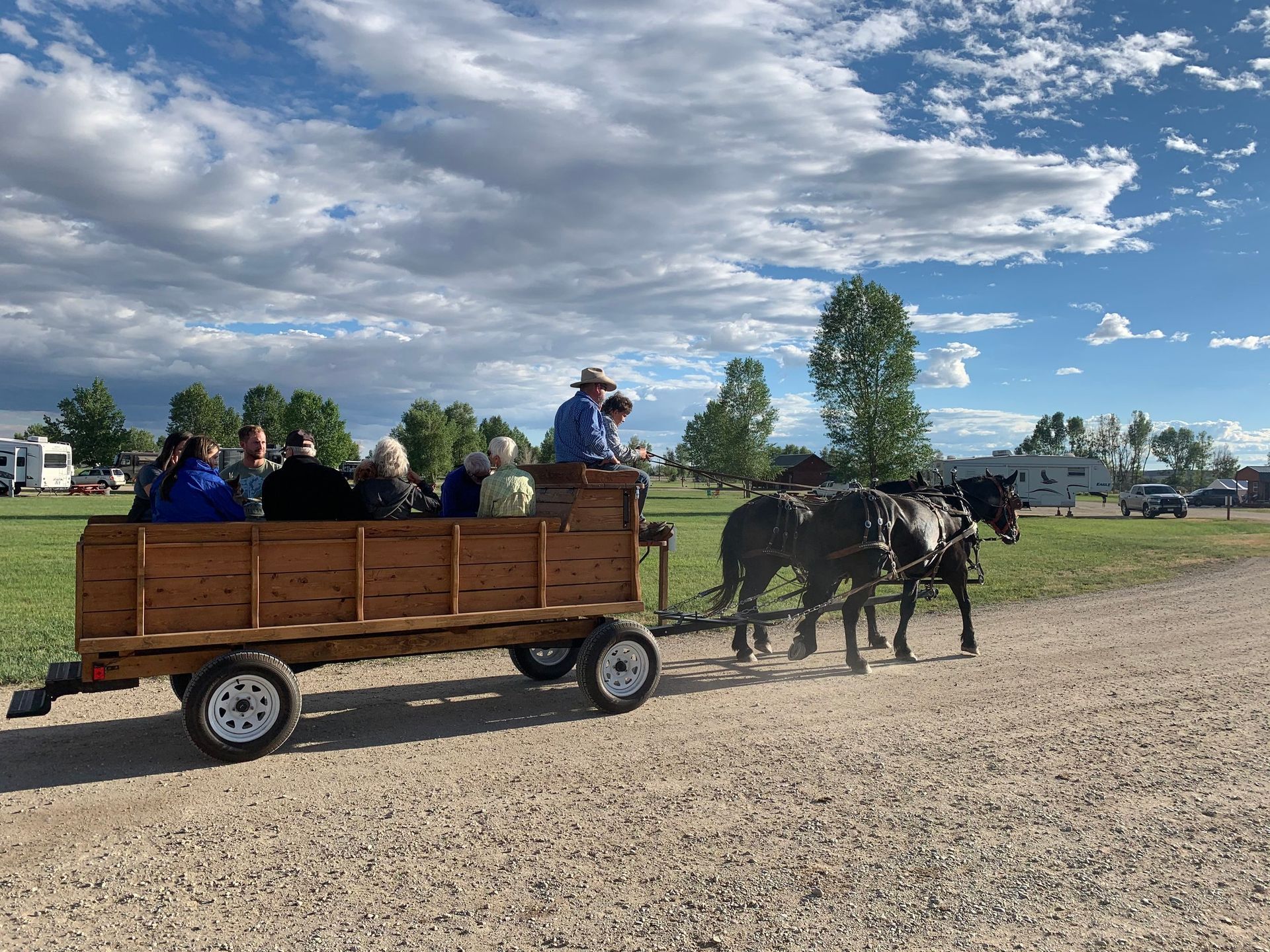Mules pulling a wagon with people, outdoors on a dirt road under a cloudy sky.
