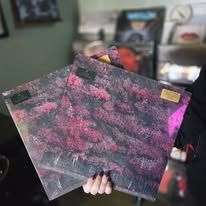 Two vinyl records with pink and purple floral artwork, held by a person.
