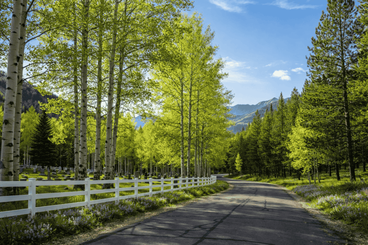 Four O’Clock Subdivision in Breckenridge, CO
