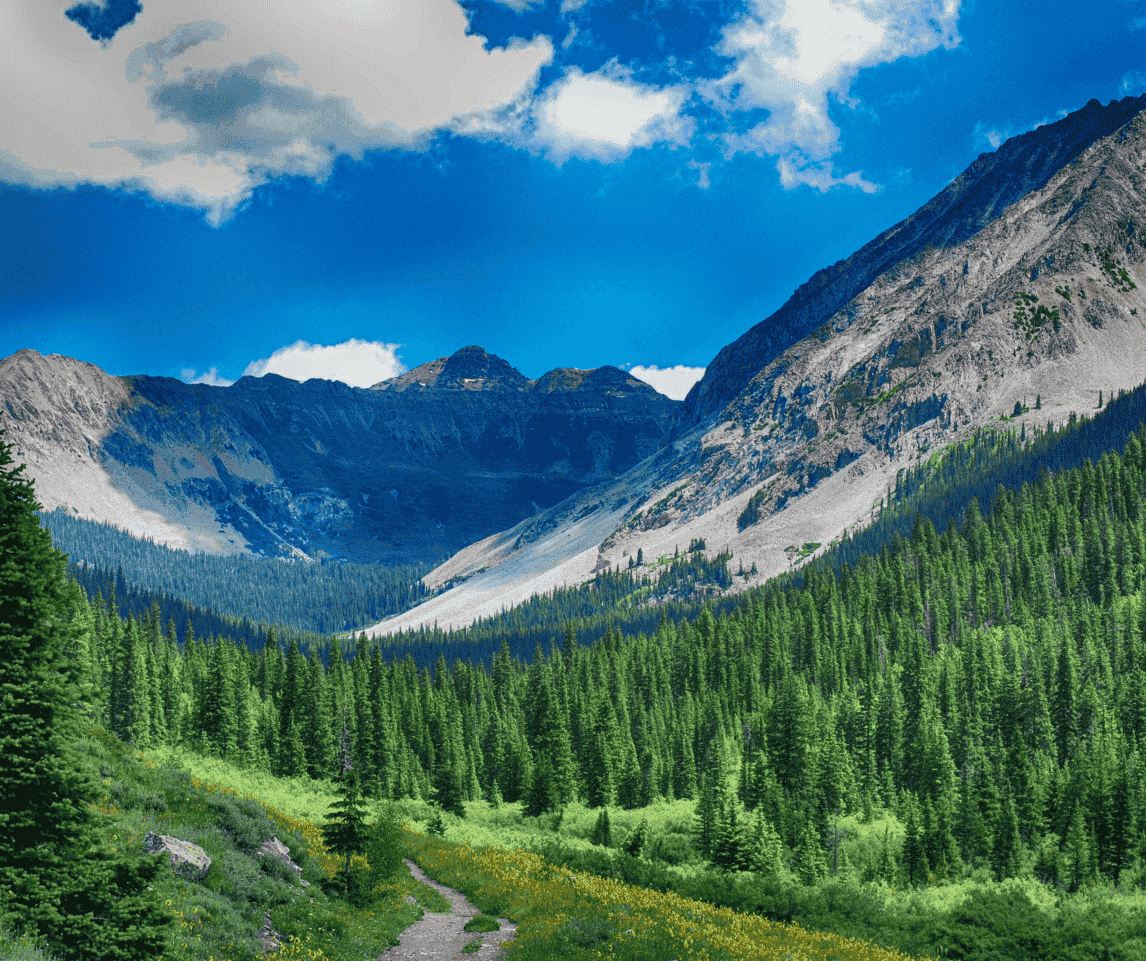 A path going through a mountain valley surrounded by trees