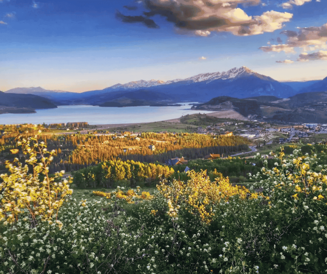 A view of a lake with mountains in the background