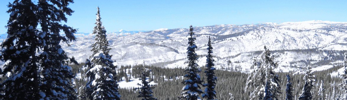 A snowy forest with mountains in the background