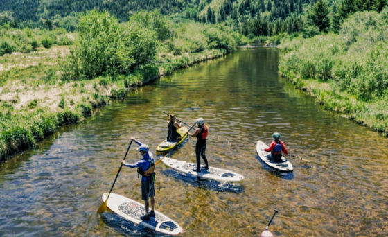 Four people paddleboarding down a clear, shallow river surrounded by grassy banks and green forest.