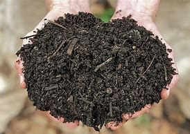 Compost — Williston, VT — Paquette Full of Posies