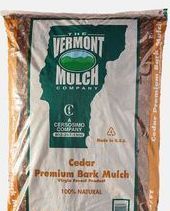 Black Forest — Williston, VT — Paquette Full of Posies