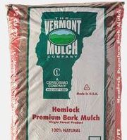 Hemlock — Williston, VT — Paquette Full of Posies