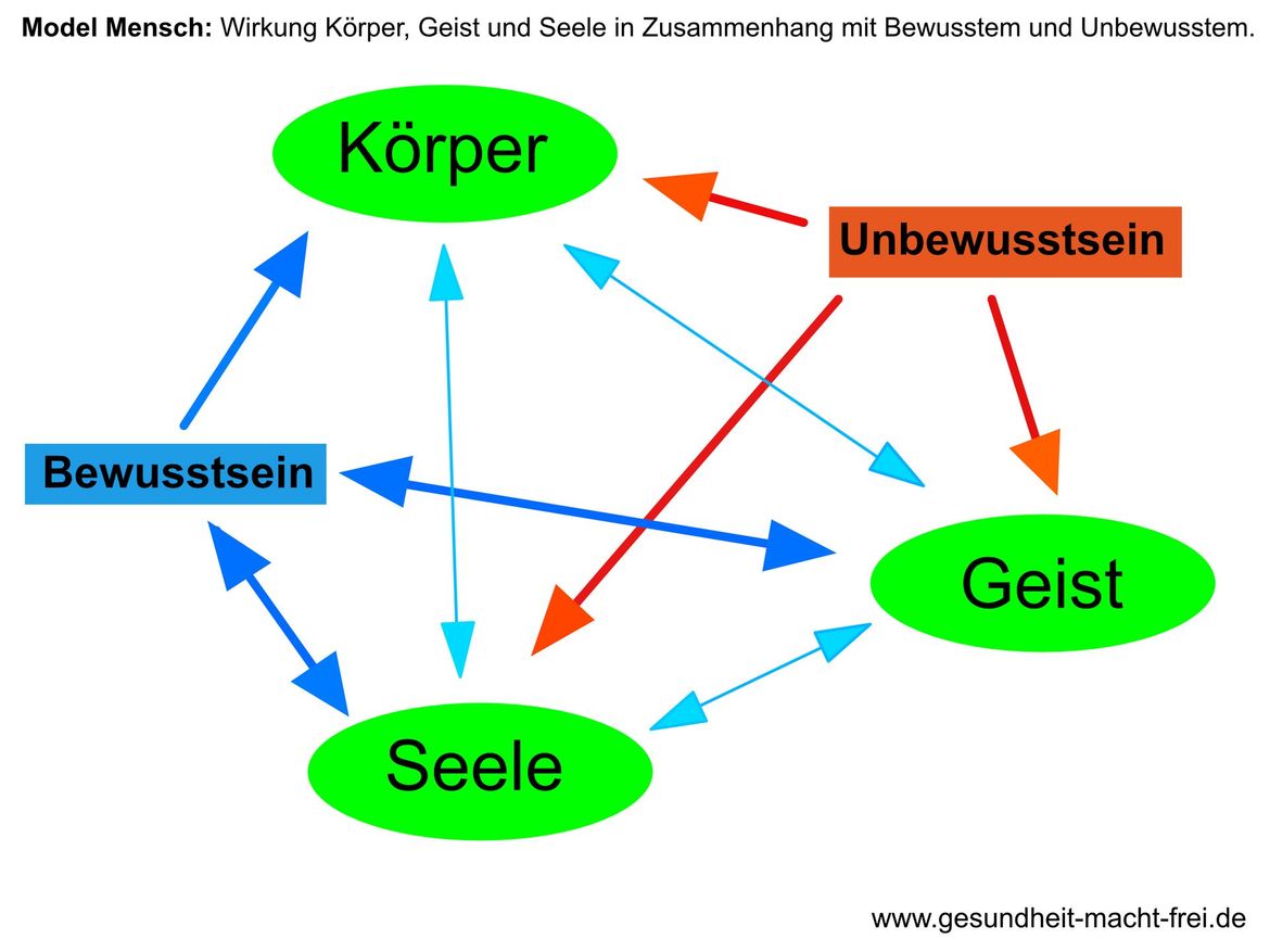 Diagramm von Körper, Geist, Seele, Bewusstsein und Unterbewusstsein, verbunden durch Pfeile, die Beziehungen anzeigen.