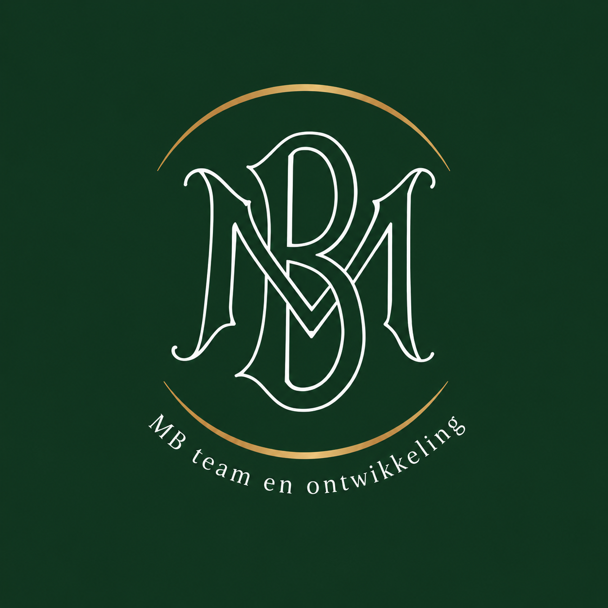 interim-manager teamontwikkeling organisatieontwikkeling coaching