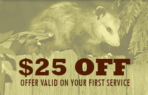 $25 Off - Offer Valid on Your First Service