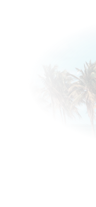 Palm Trees | Gulf Coast Auto Repair