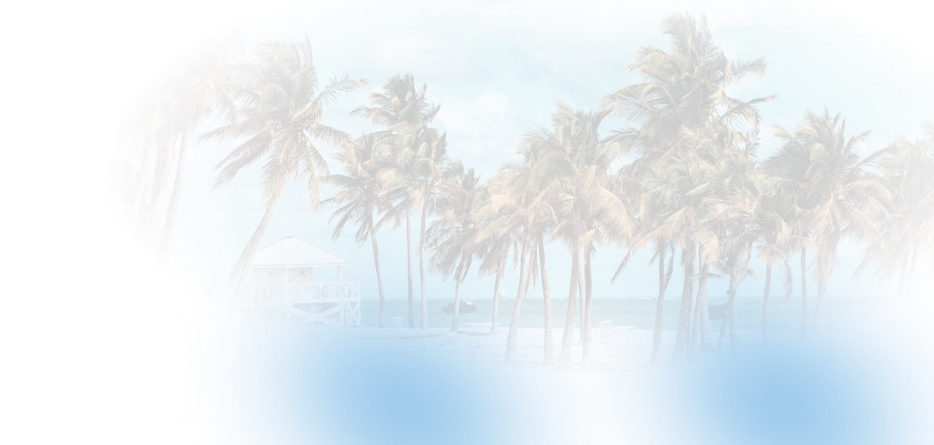 Palms | Gulf Coast Auto Repair