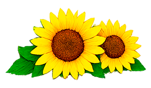 Icono Hotel Hacienda María Bonita 2