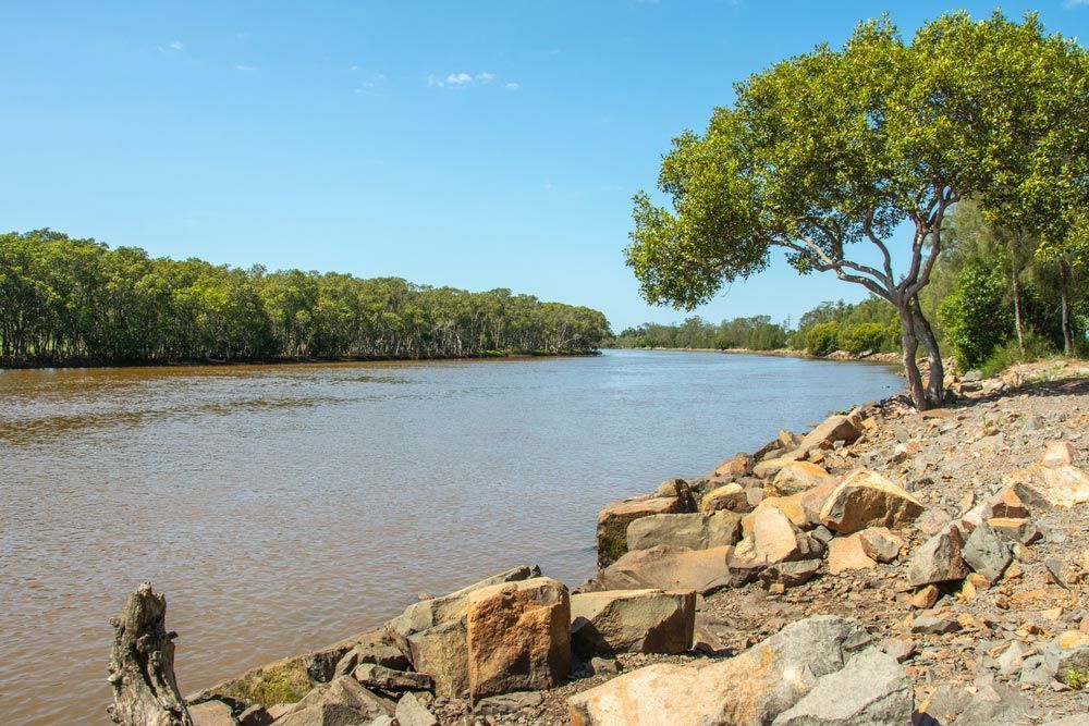 A Tree is Sitting on the Shore of a River — Trade & General Towing in Hexham, NSW
