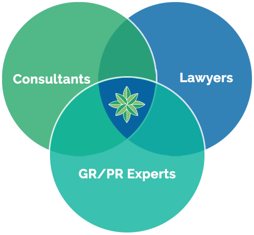 Venn Diagram of AL Law Groups position with Consultants, Lawyers and GR/PR Experts