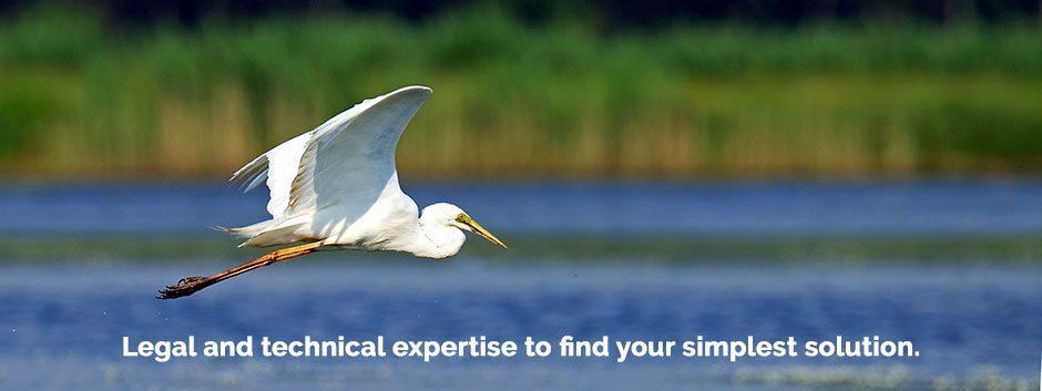 Banner Slide with Bird flying over a lake and phrase: Legal and technical expertise to find your simplest solution