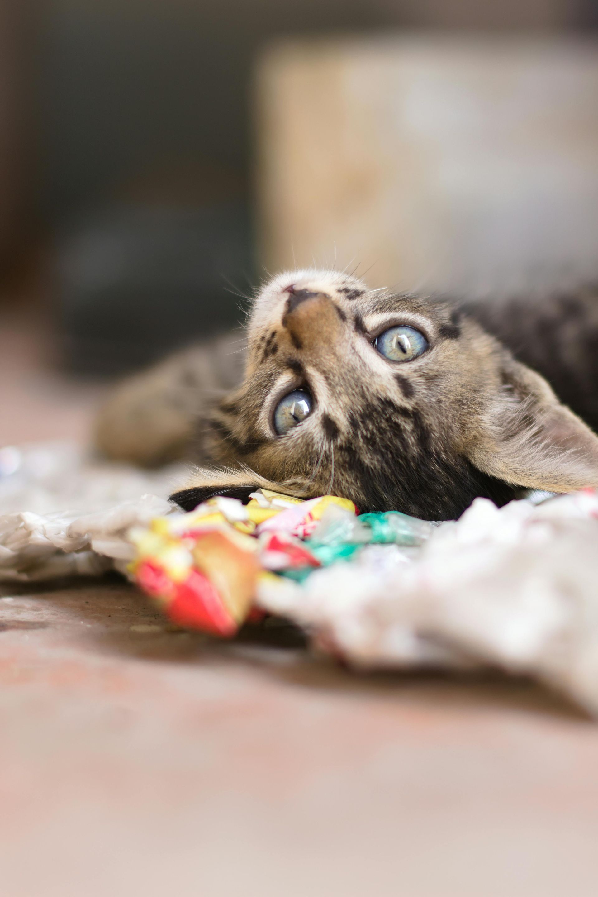 A cat is laying on its back on a pile of candy.