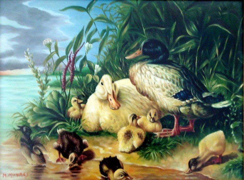 Markus Muyres+Nederlands+Olieverf+Schilderij+Paneel+30x40cm+Eendenfamilie+Groene planten+Meertje