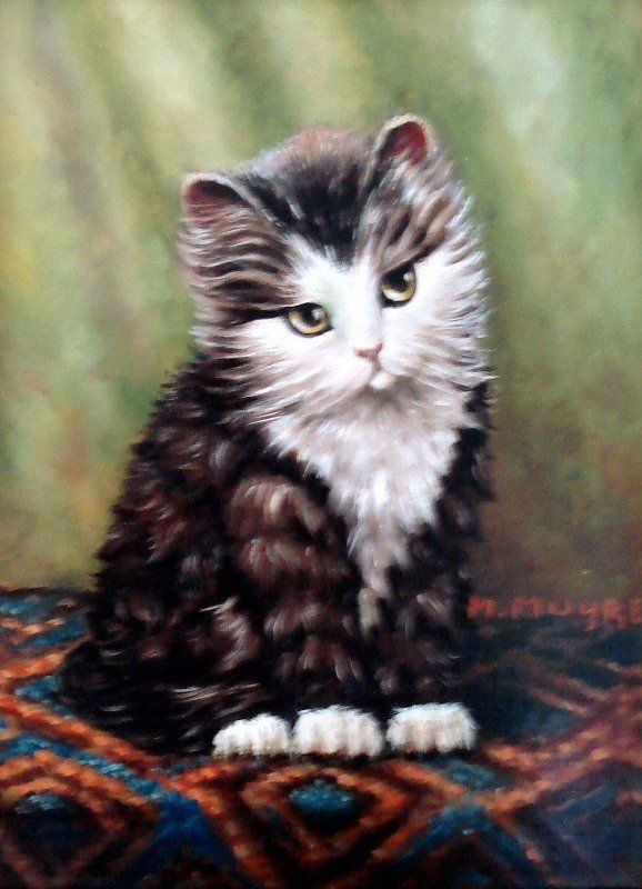 Markus Muyres+Nederlands+Olieverf+Schilderij+Paneel+30x40cm+Poesje+Zwart met wit+Perzisch kleedje+Groene achtergrond