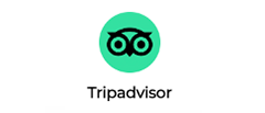 Tripadvisor logo: owl in a green circle, below the word