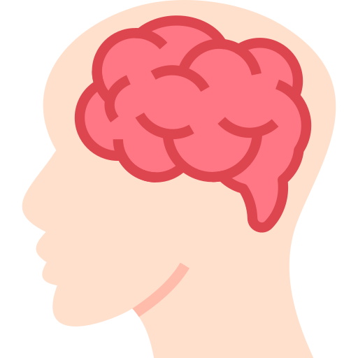 Pink brain inside a person's head, shown in profile.
