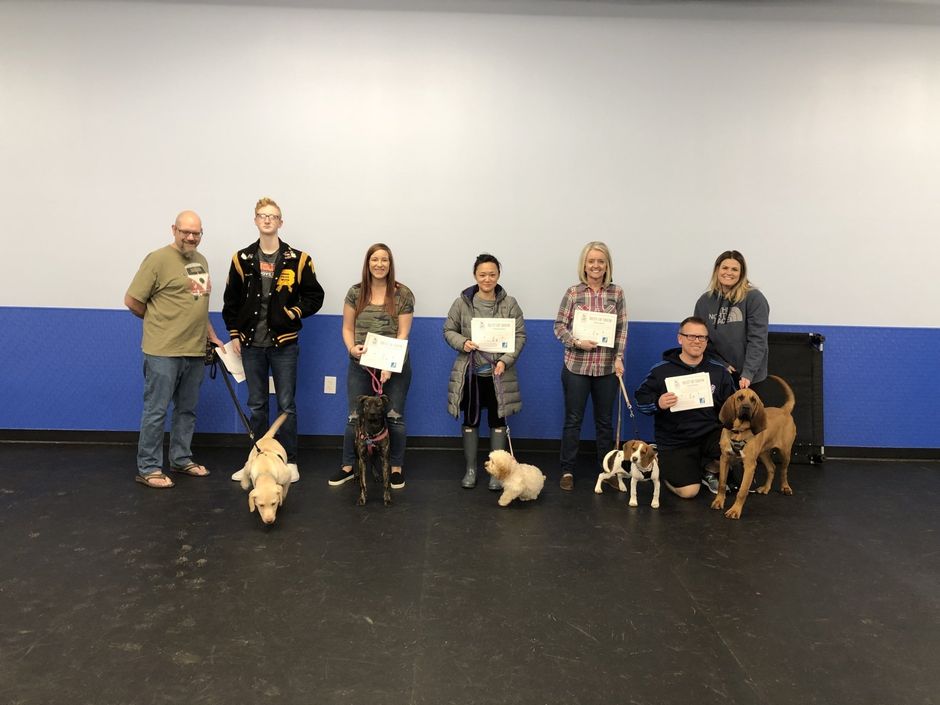 Dog Training Top Dog Ranch Broken Arrow, OK