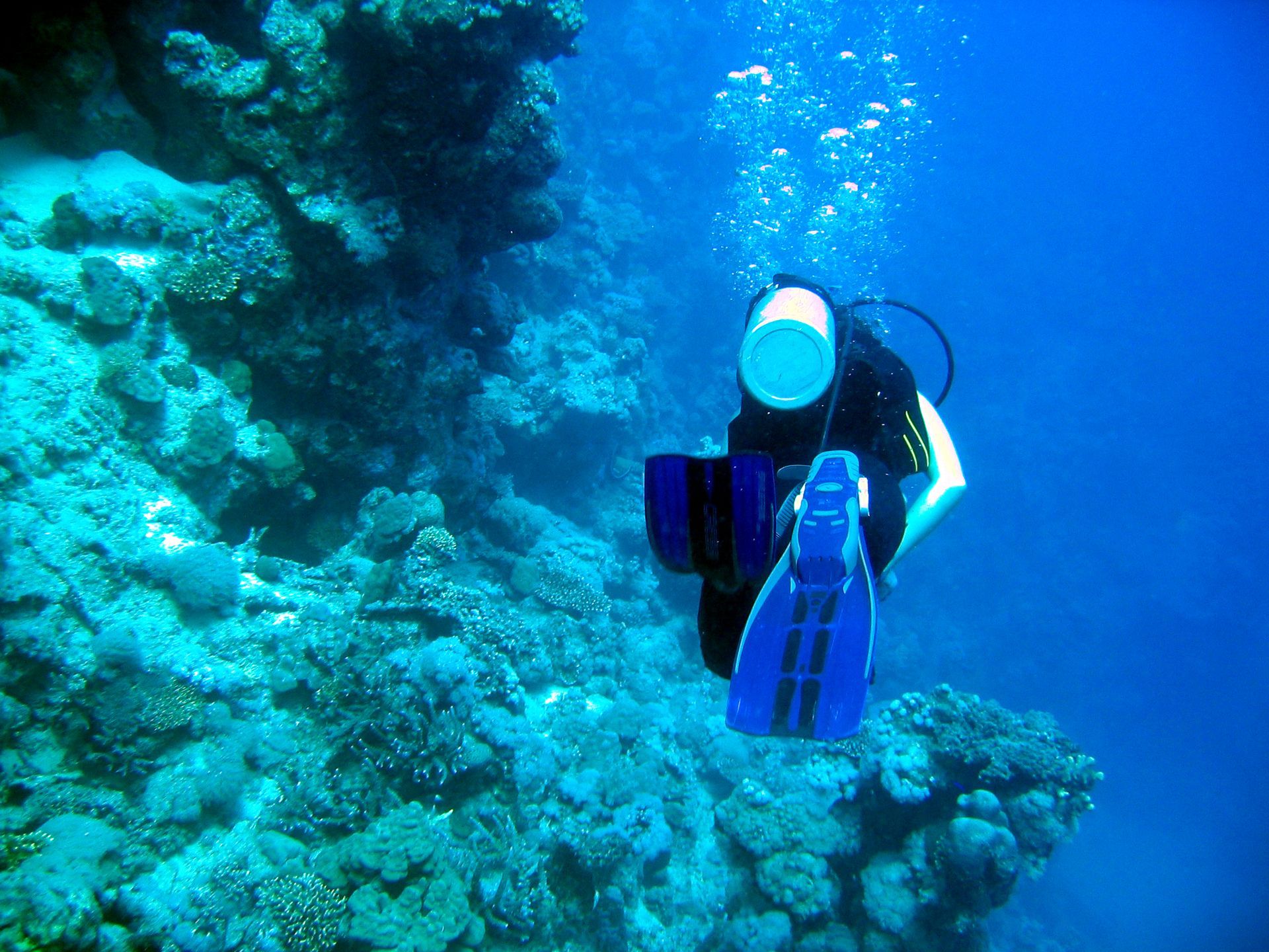 Rotes Meer, Tauchen, Scubadiving, Ägypten, Al-Qusair, 