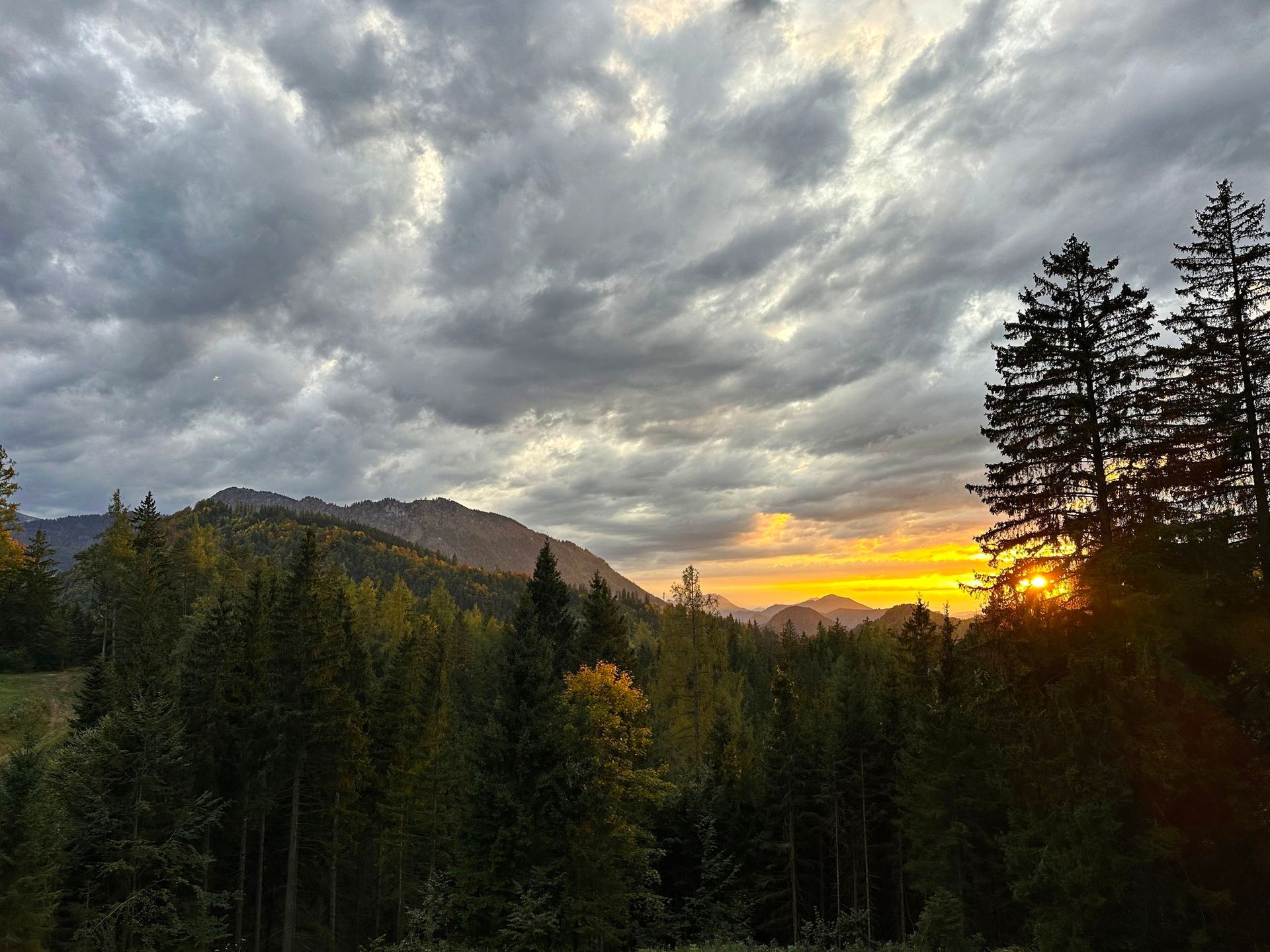 Ötschergräben, Niederösterreich, Hartmut Ulrich