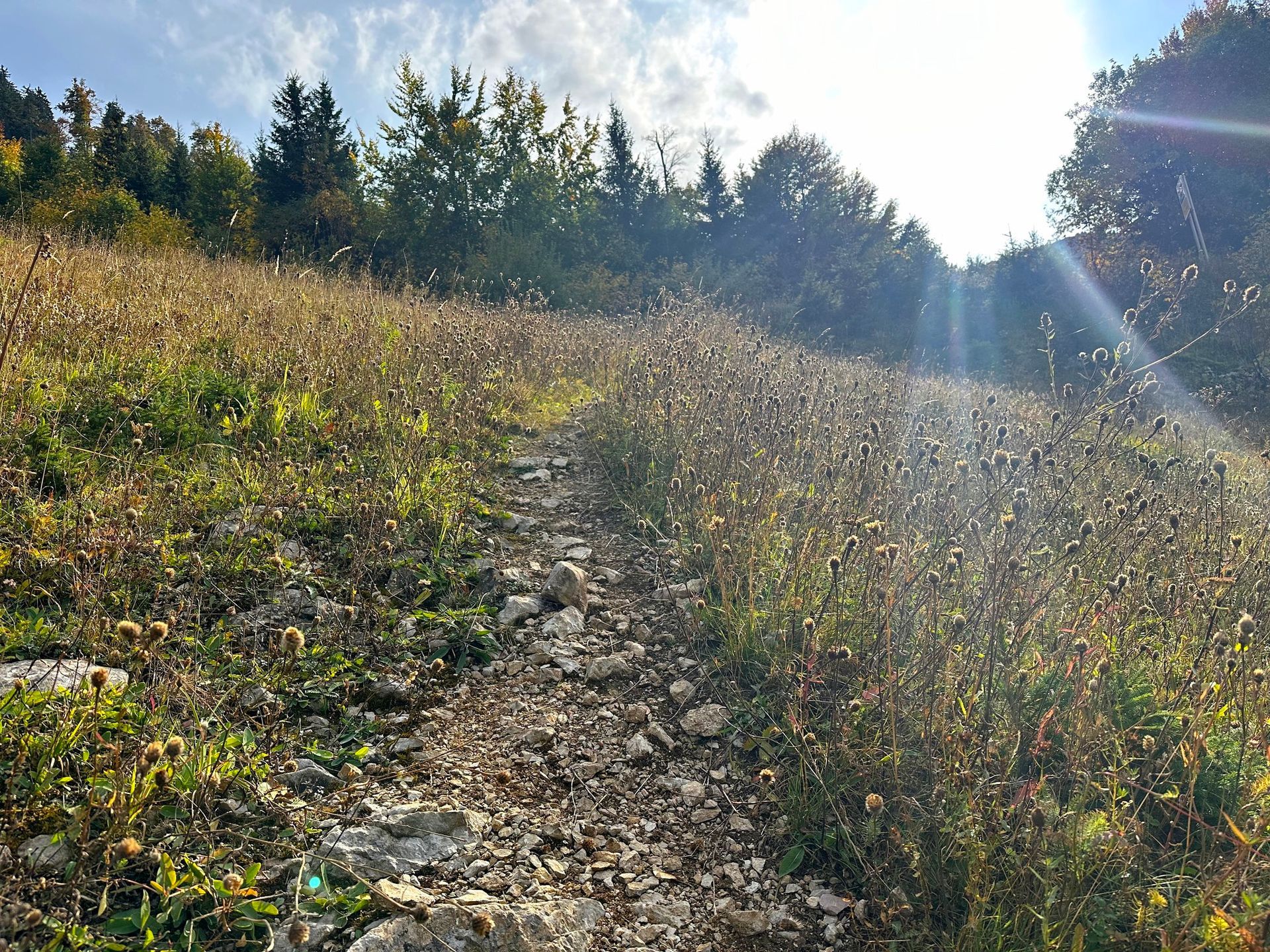 Niederösterreich, Ötscher, Hartmut Ulrich