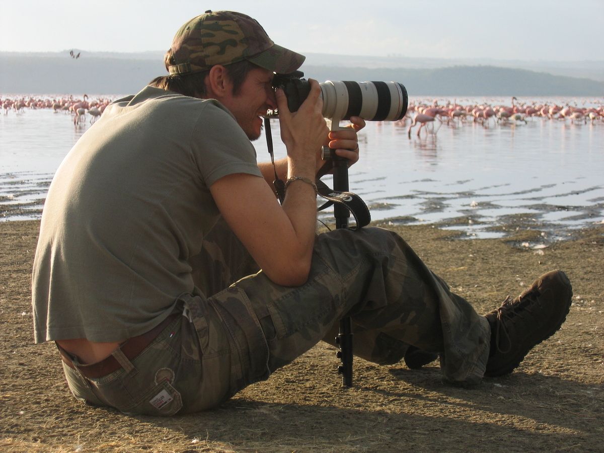Ostafrika, Tansania, Kenia, Safari, Tierfoto