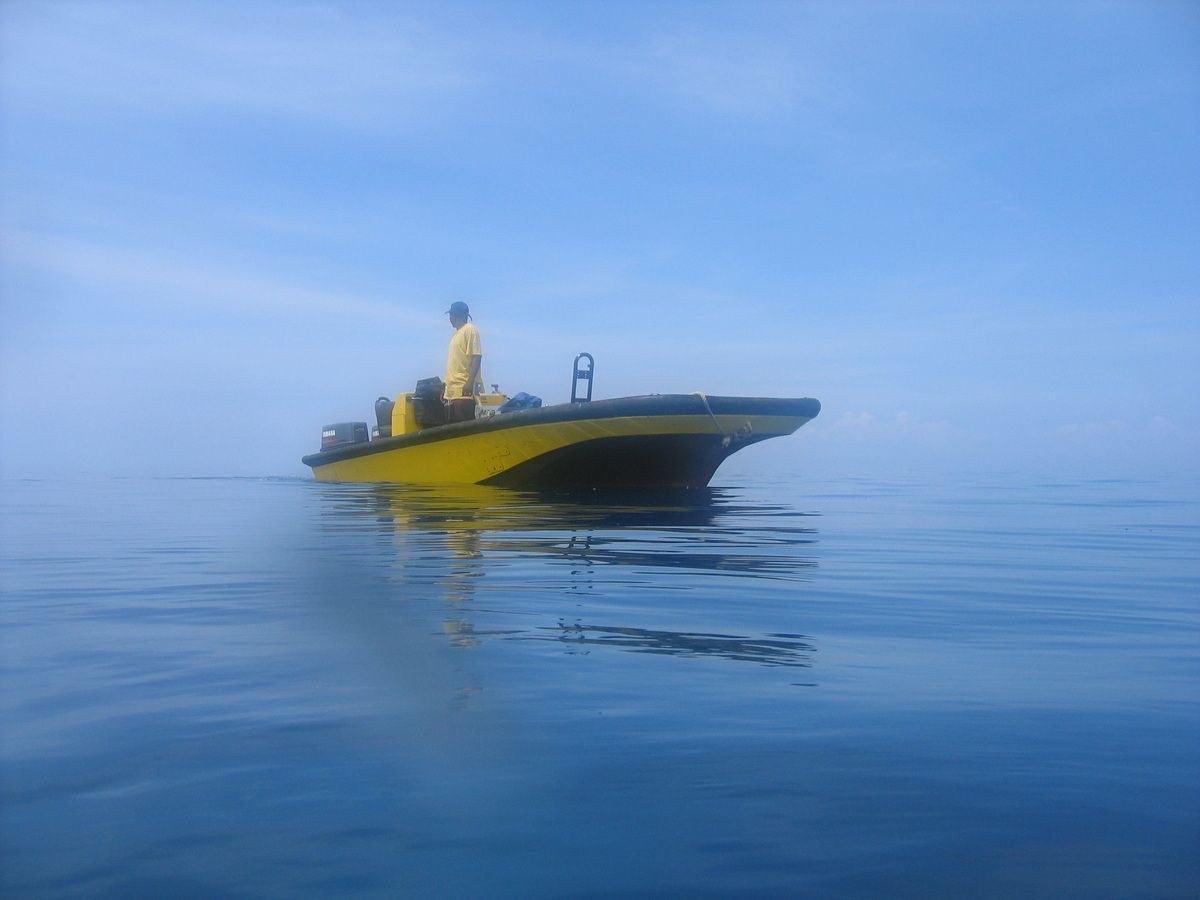 Pemba, Oystafrika, Tauchen, Scubadiving