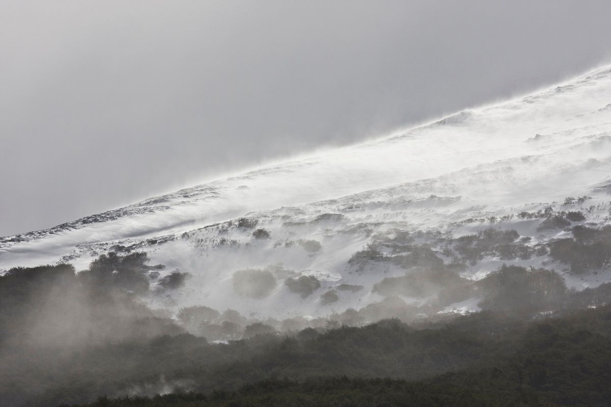Trekking, Backpacking, Patagonien, Argentinien, Chile, Südamerika, Hielo Sur, Feuerland, Usuhaia