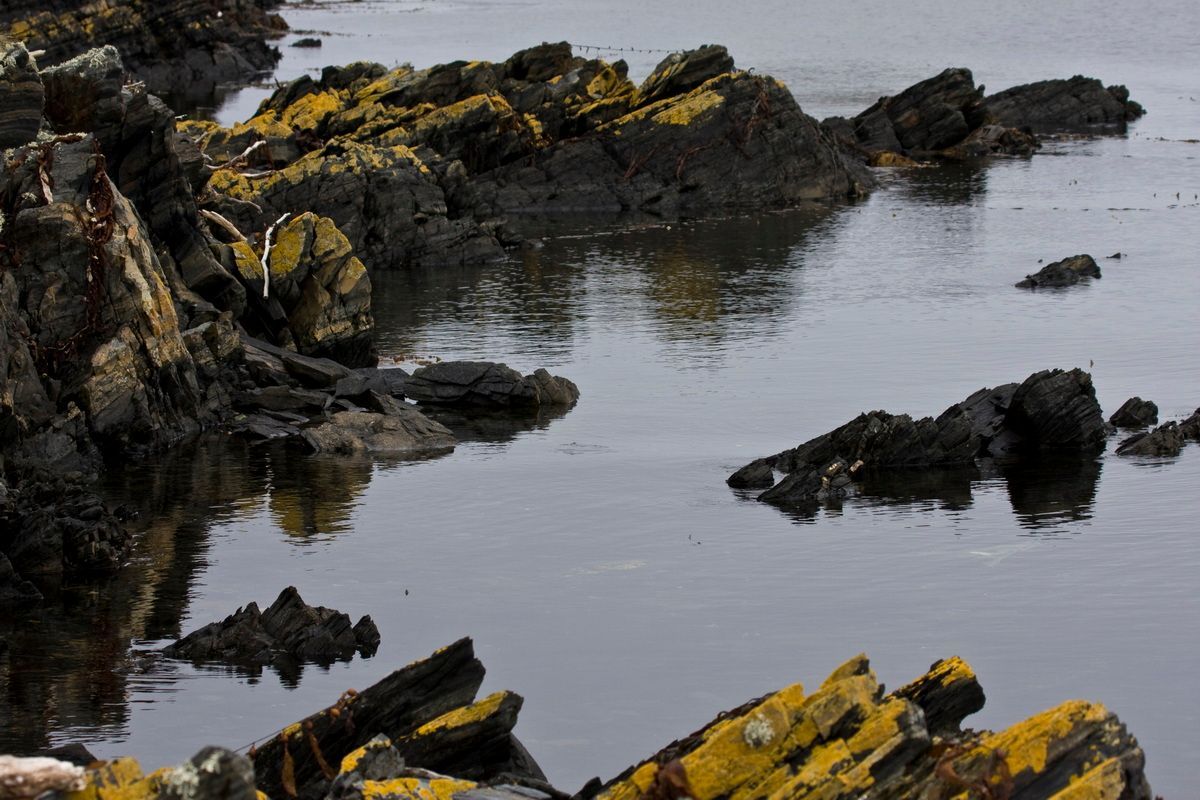 Trekking, Backpacking, Patagonien, Argentinien, Chile, Südamerika, Hielo Sur, Feuerland,