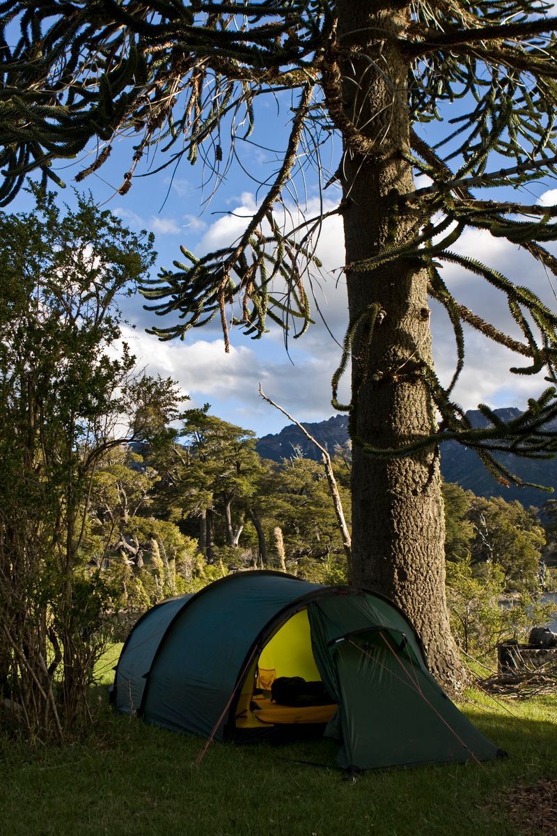 Trekking, Backpacking, Patagonien, Argentinien, Chile, Südamerika, Hielo Sur, Feuerland, Camp, Zelt