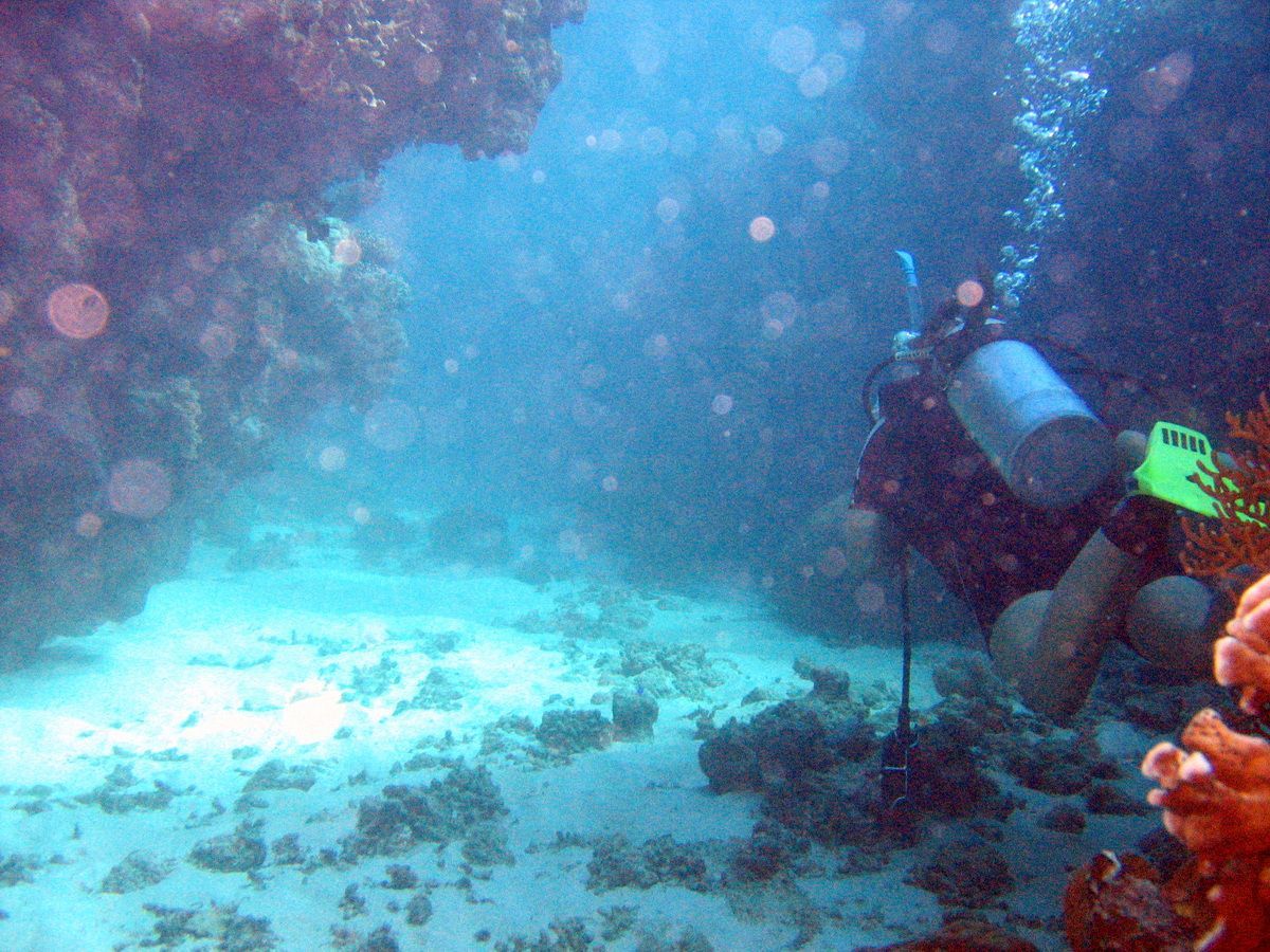 Australien, Tauchen, Scubadiving, 