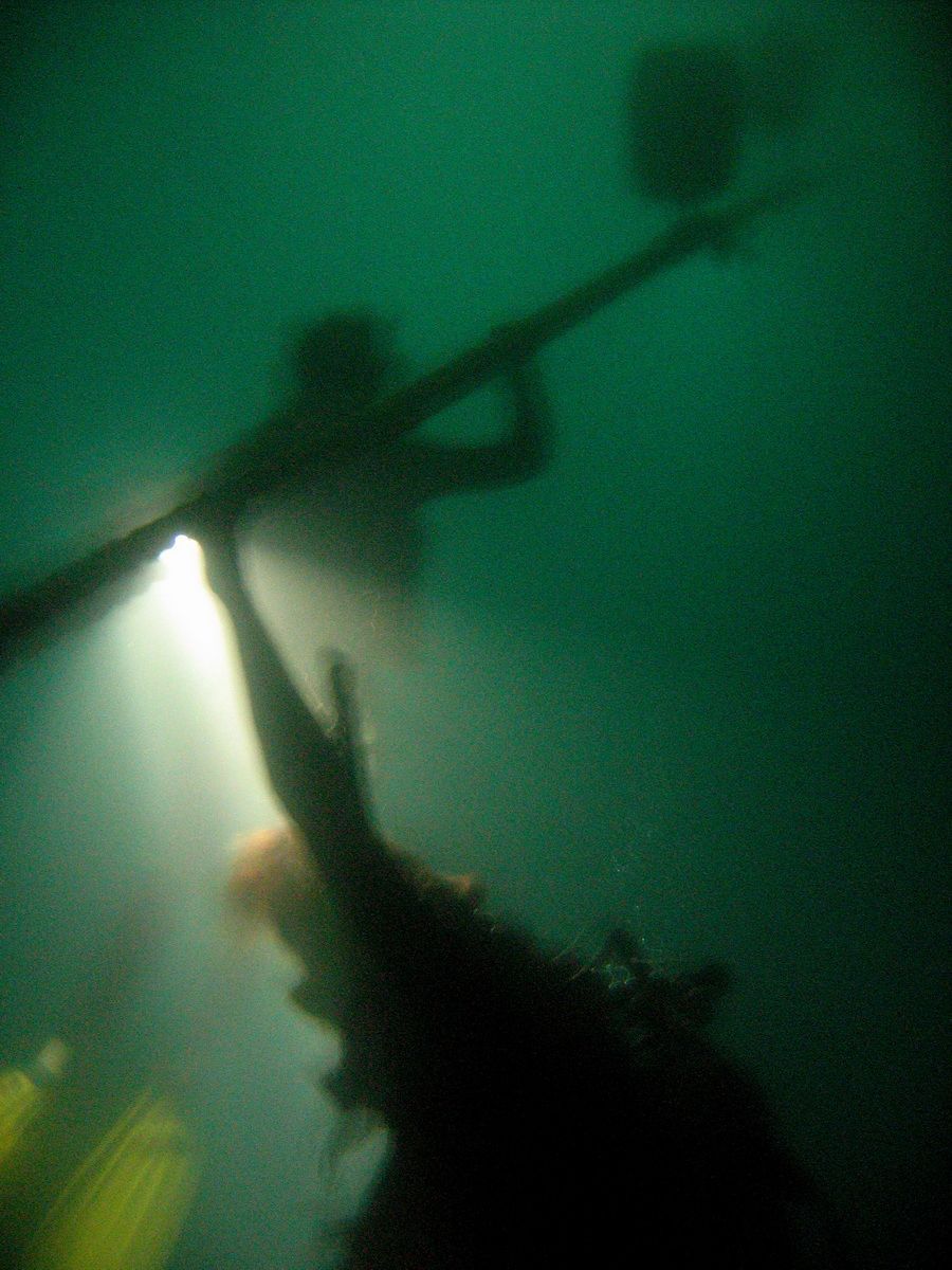 Australien, Tauchen, Scubadiving, Yongala, Wrack, Townsville, Night Dive