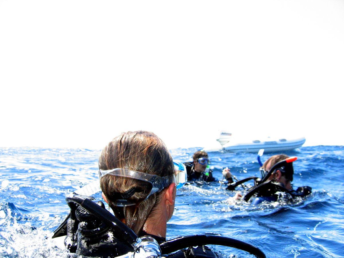 Australien, Tauchen, Scubadiving, Yongala, Wrack, Townsville