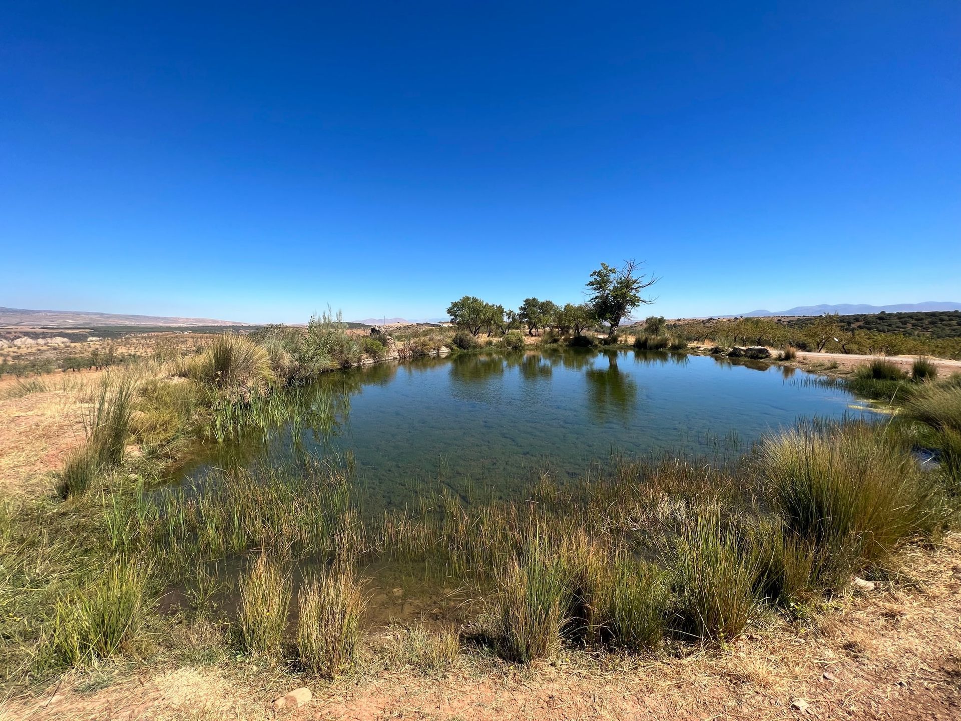 Badlands 2022, Ultracycling, Gravelrace, Andalusien