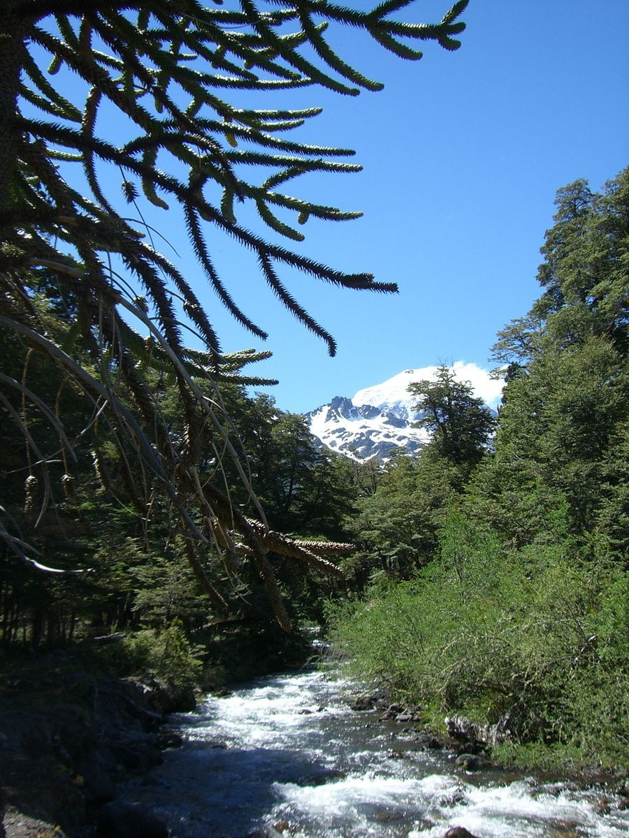 Südamerika, Argentinien, Patagonien, Trekking, Siete Lagos, Hartmut Ulrich