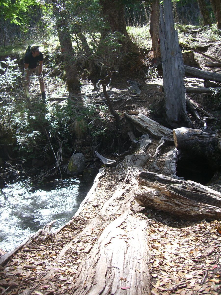 Südamerika, Argentinien, Patagonien, Trekking, Siete Lagos, Hartmut Ulrich