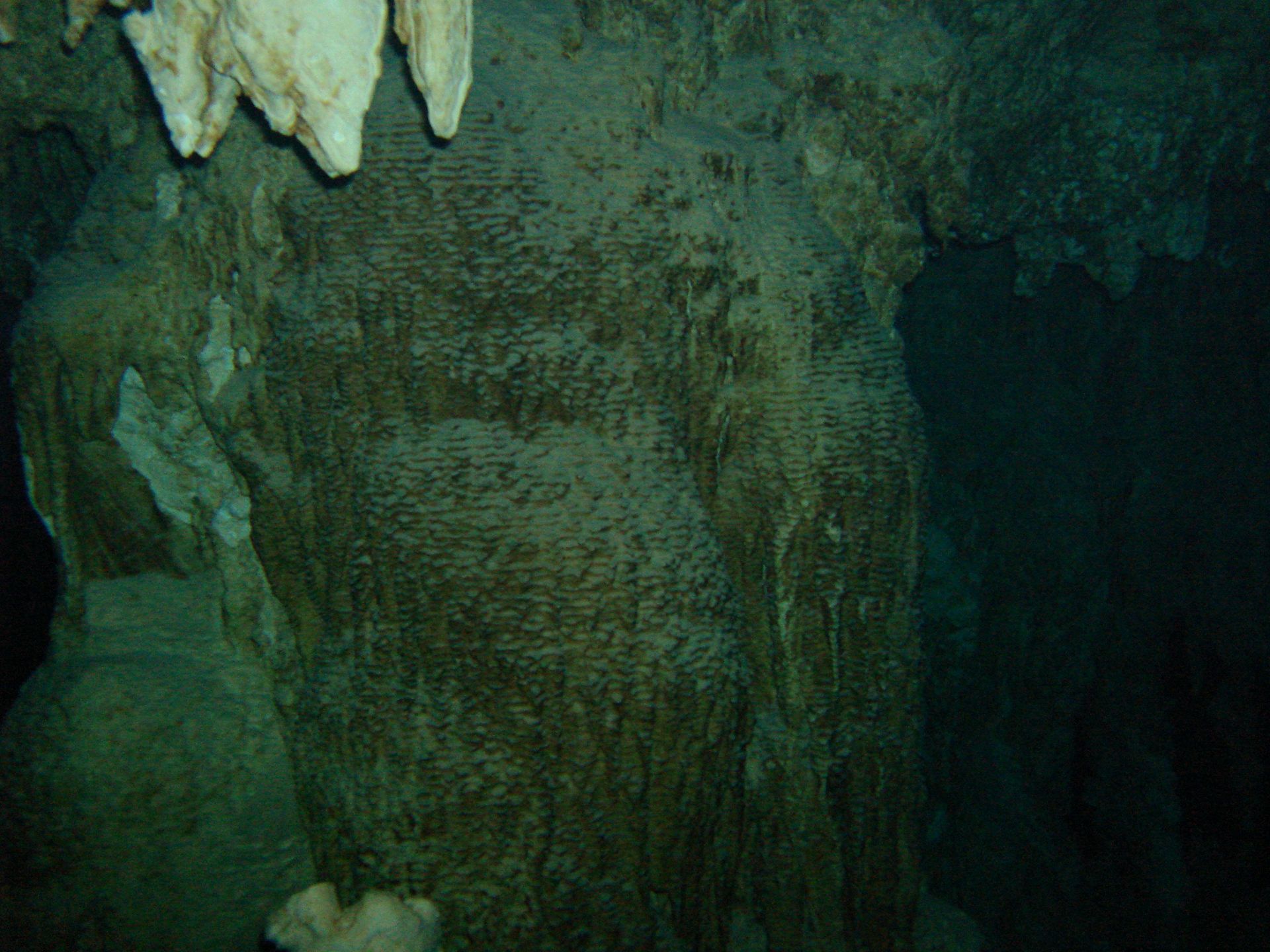 Mexico, Cenotes, Tauchen, Höhle, Scubadiving, Yucatan