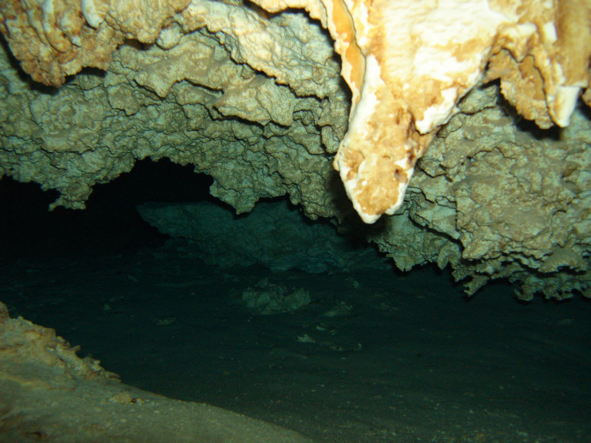 Mexico, Cenotes, Tauchen, Höhle, Scubadiving, Yucatan