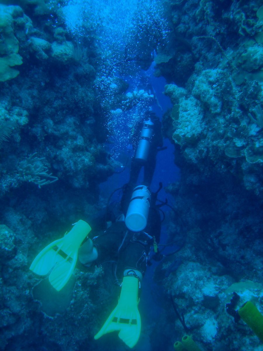 Belize, Tauchen, Scubadiving, Karibik