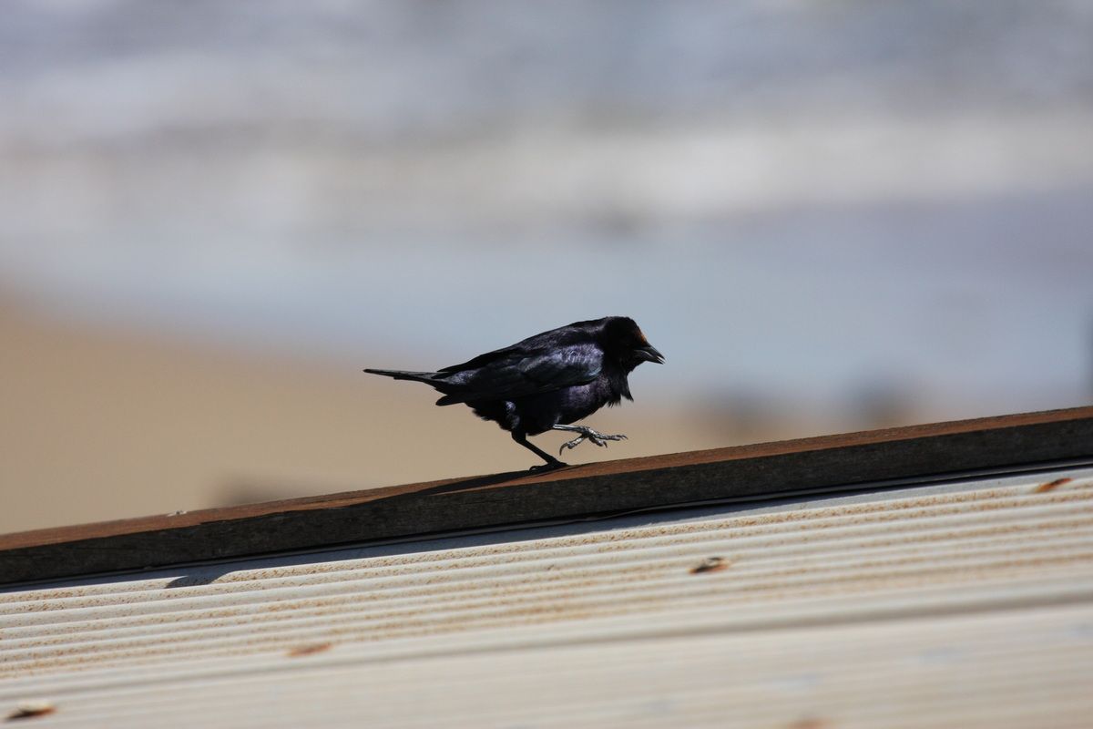 Südamerika, Argentinien, Buenos Aires, Trekking, Hartmut Ulrich