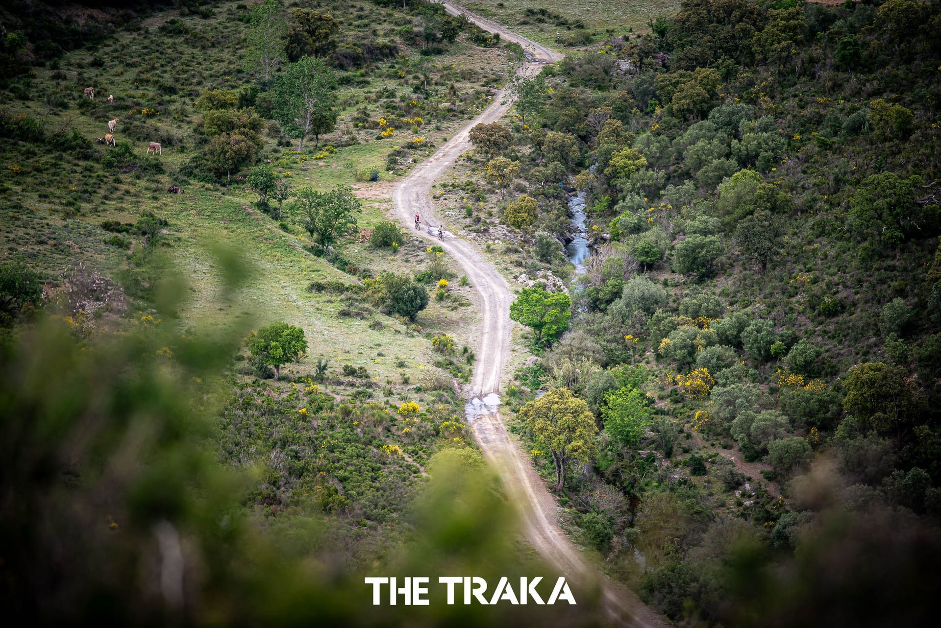 Traka 360, Gravel, Girona