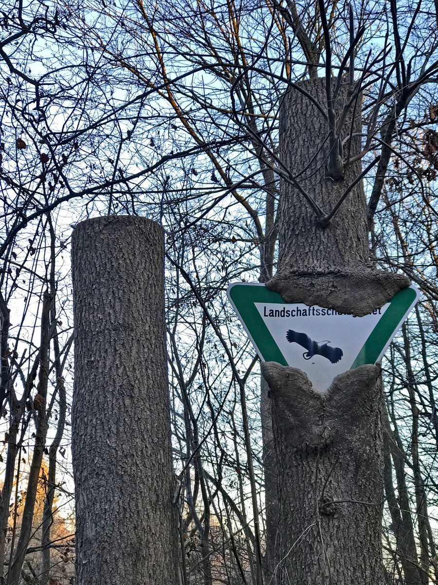 Natur, Landschaftsschutzgebiet