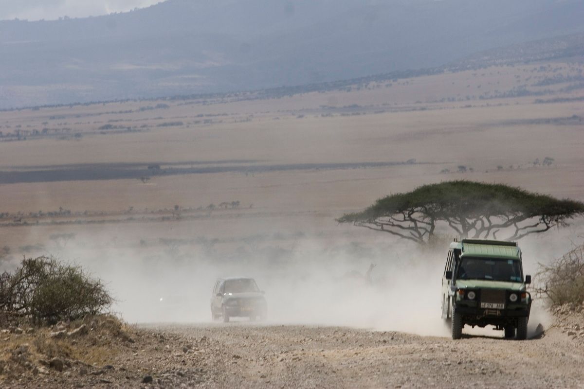 Ostafrika, Tansania, Kenia, Safari, Tierfoto, Ngorongoro