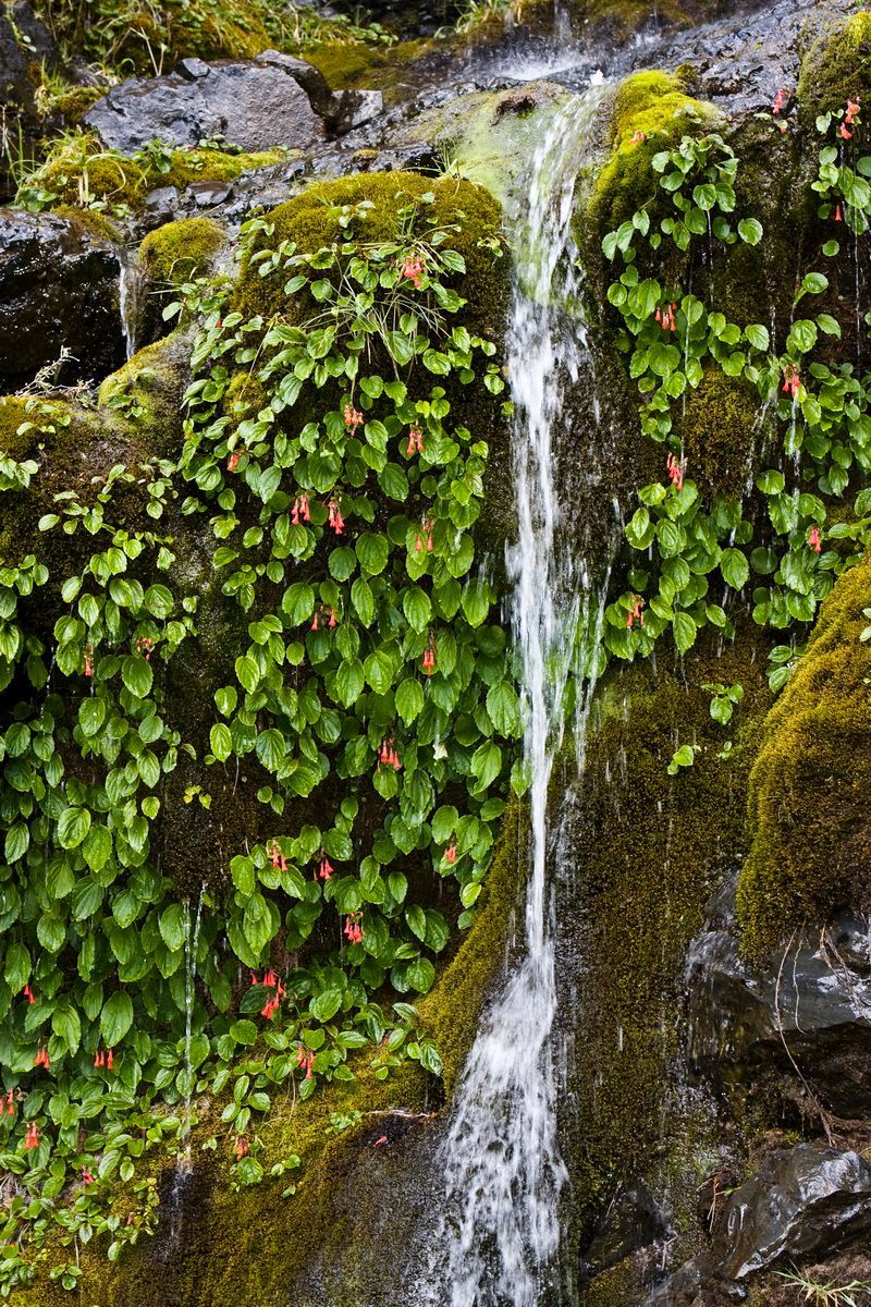Südamerika, Argentinien, Patagonien, Trekking, Torres del Paine,  Hartmut Ulrich